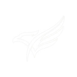 Nation Rises