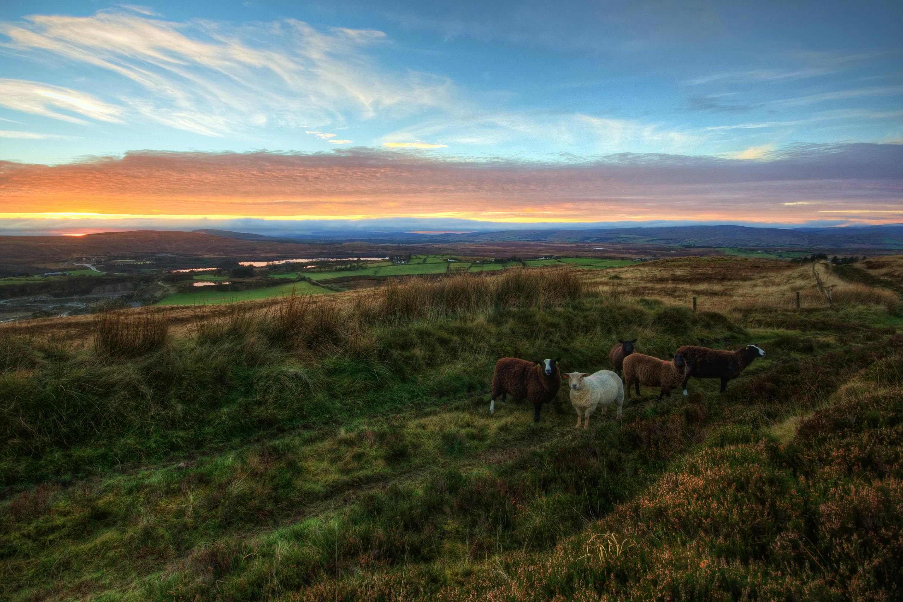 Irish countryside
